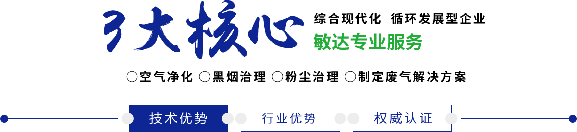 内射无码骚被操敏达环保科技（嘉兴）有限公司